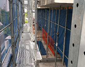 The Bangkok Project