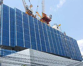 The Bangkok Project