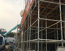 The Bangkok Project
