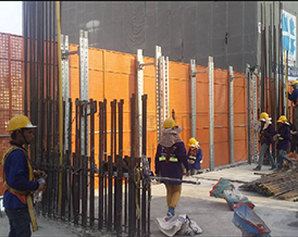 Celes Asoke Project