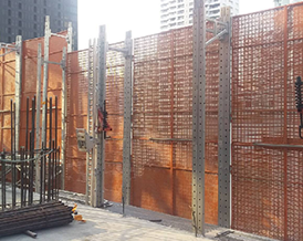 Celes Asoke Project