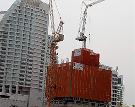 Celes Asoke Project