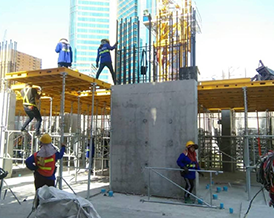 Celes Asoke Project